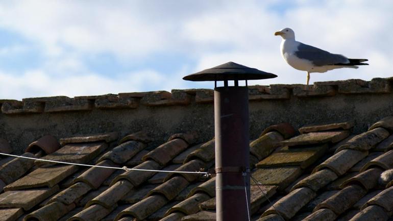 Siyah duman yükseldi: Papa ilk oylamada seçilemedi