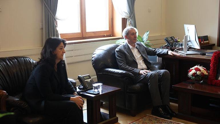 DEM Parti, Sırrı Süreyya Önder için taziyeleri kabul etti