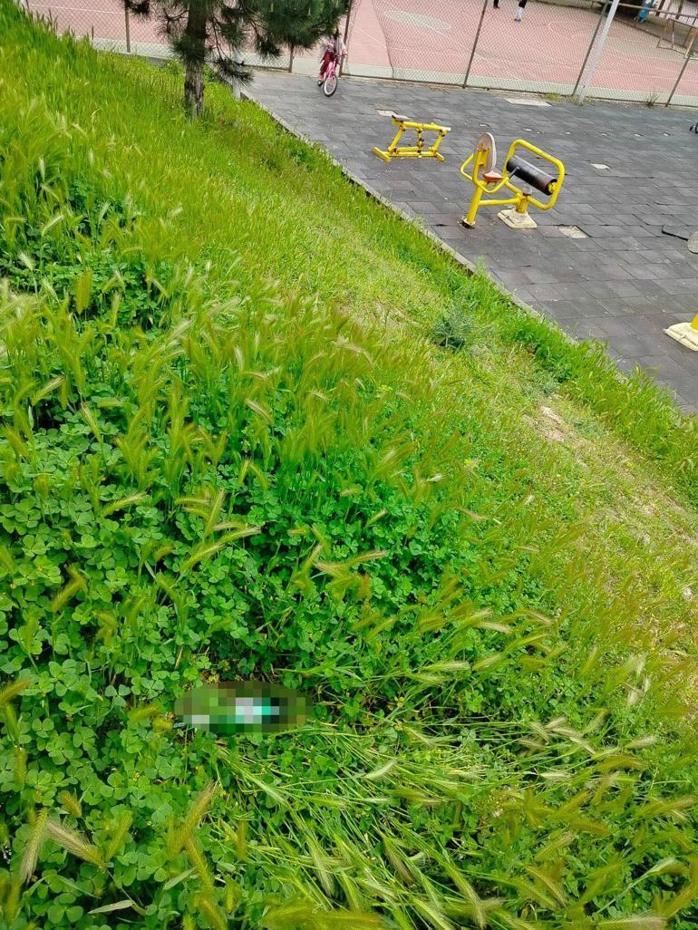 Parkta alkol alanların geride bıraktıkları şişedeki içkiyi su zannederek içen çocuk hastanelik oldu