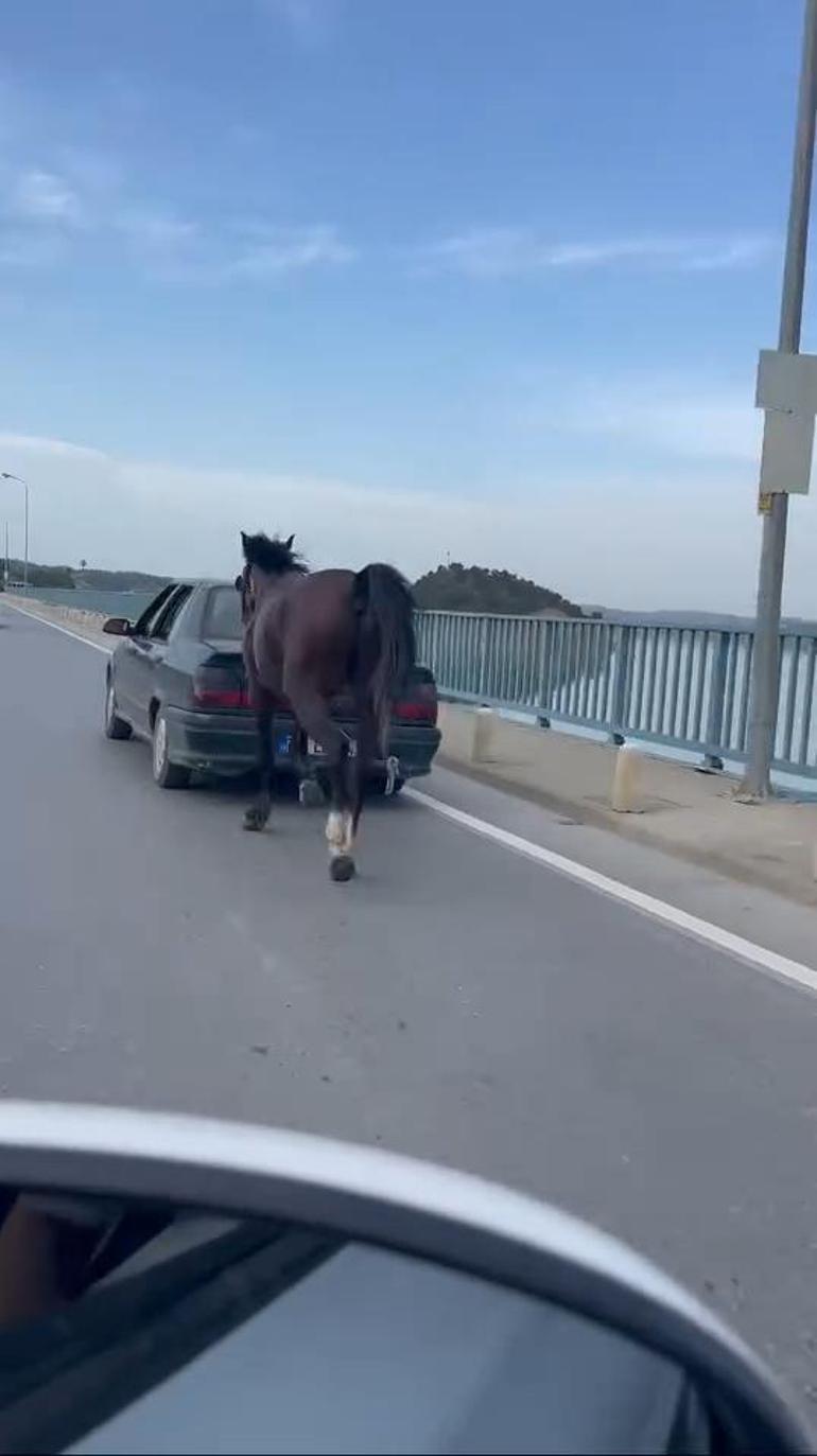 Otomobile bağladığı at ile ilerledi; 2 gözaltı