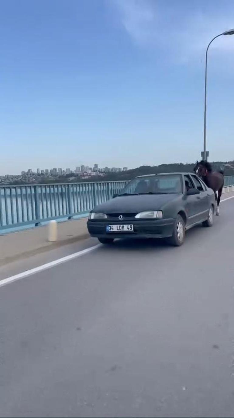 Otomobile bağladığı at ile ilerledi; 2 gözaltı