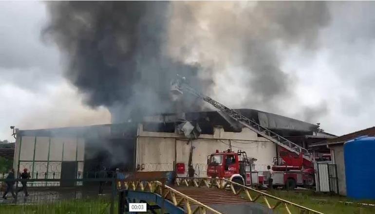 Fındık kırma fabrikasındaki yangın, 2,5 saatte kontrol altına alındı