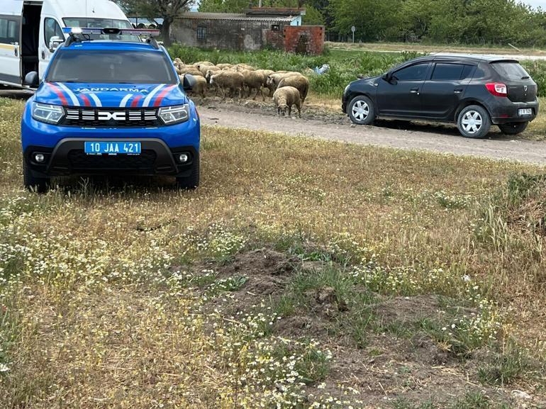 Ağılda çıkan yangında 42 küçükbaş öldü