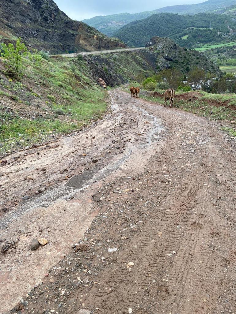 Sivasta sağanak sele neden oldu