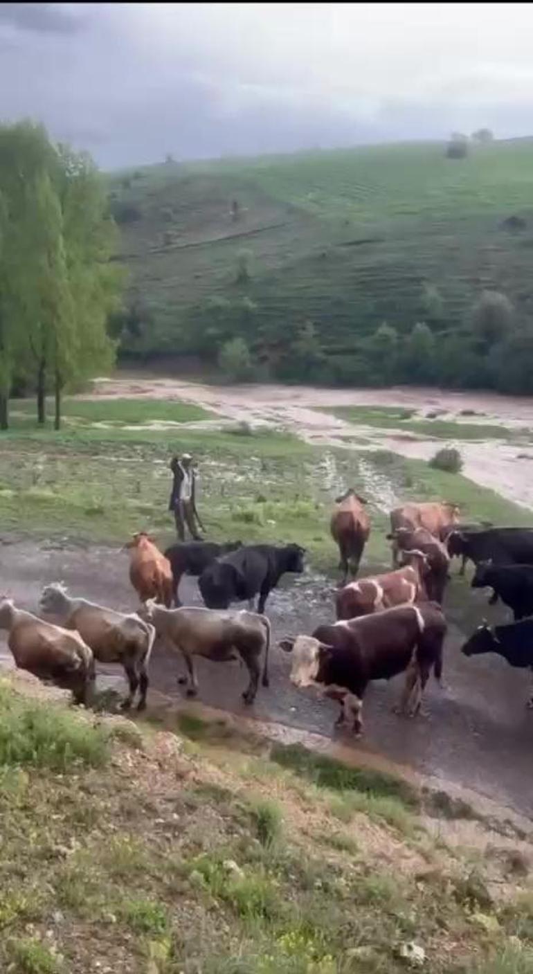 Sivasta sağanak sele neden oldu