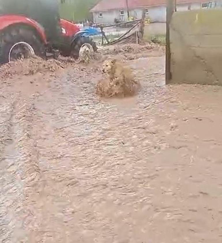 Sivasta sağanak sele neden oldu