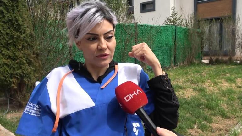 Sopalı şiddete uğrayan eşek öldü, hayvanseverler tepkili