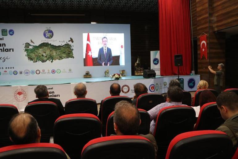 Bilim insanları, Türkiyenin yaban hayatını Vanda konuşuyor