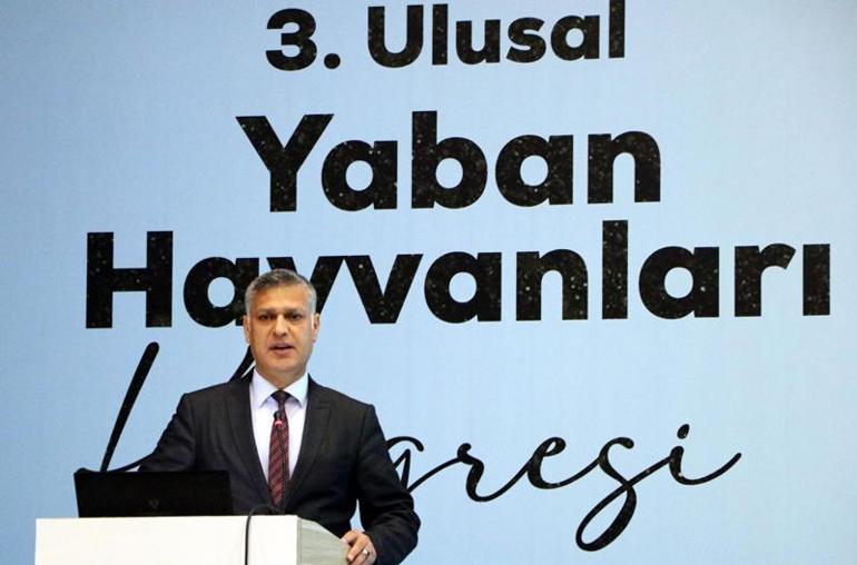 Bilim insanları, Türkiyenin yaban hayatını Vanda konuşuyor
