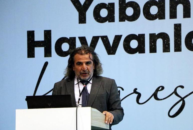 Bilim insanları, Türkiyenin yaban hayatını Vanda konuşuyor