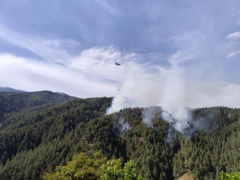 Kahramanmaraş’ta çıkan orman yangını kontrol altında