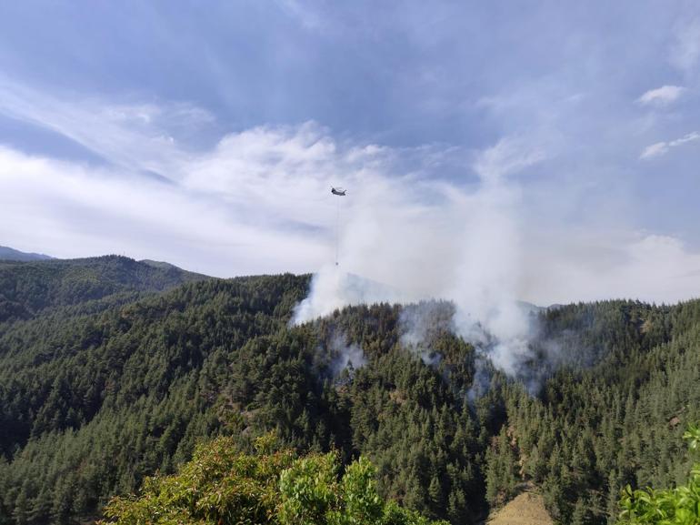 Kahramanmaraş’ta çıkan orman yangını kontrol altında