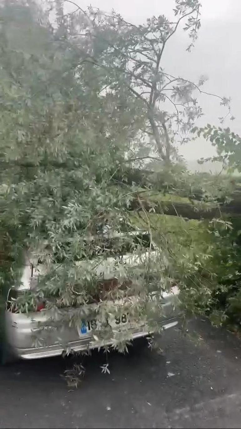 Bursada lodos yaşamı olumsuz etkiledi; pazar tezgahları devrildi