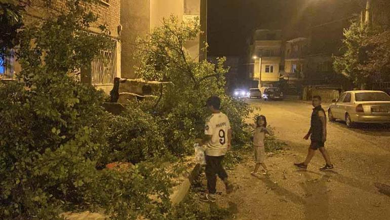 Karabük’te fırtınada ağaçlar devrildi