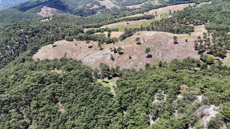 Çevre ve Şehircilik İl Müdür Yardımcısı, ölü bulundu