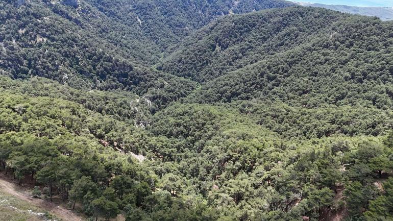 Çevre ve Şehircilik İl Müdür Yardımcısı, ölü bulundu