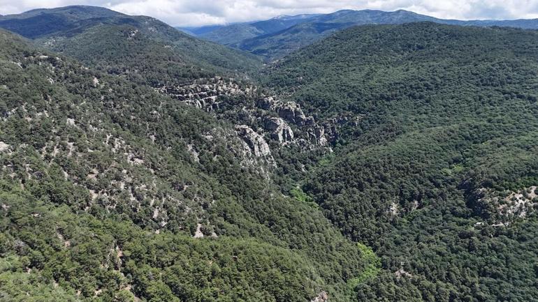 Çevre ve Şehircilik İl Müdür Yardımcısı, ölü bulundu
