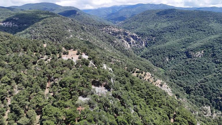Çevre ve Şehircilik İl Müdür Yardımcısı, ölü bulundu