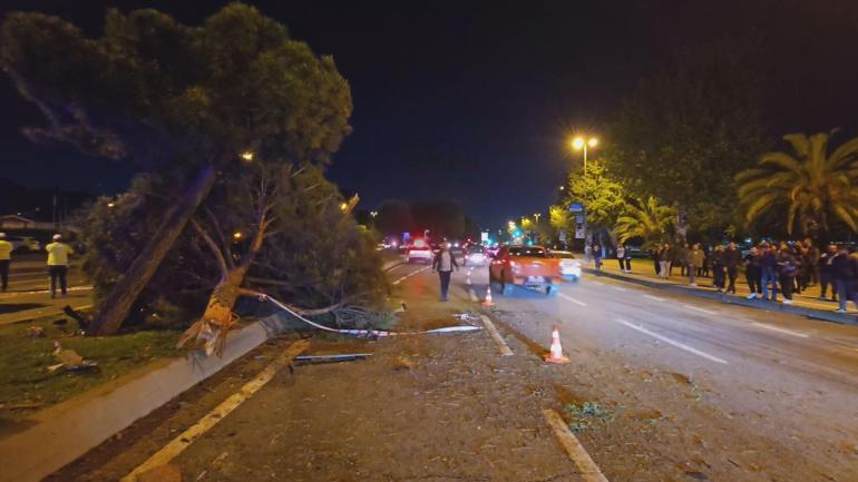 Kartalda kaza yapan otomobil ağaçları devirip ters yöne geçti: 5 yaralı