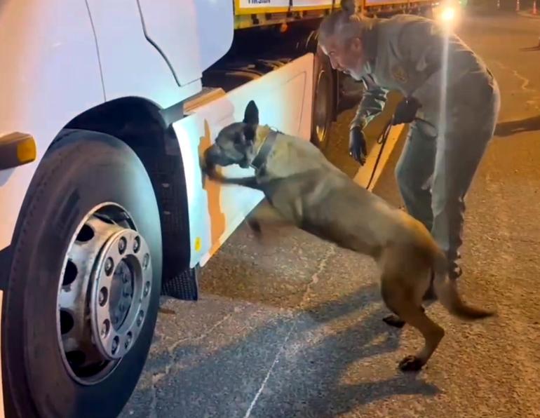 TIRdaki 5,5 kilo uyuşturucuyu Viva buldu