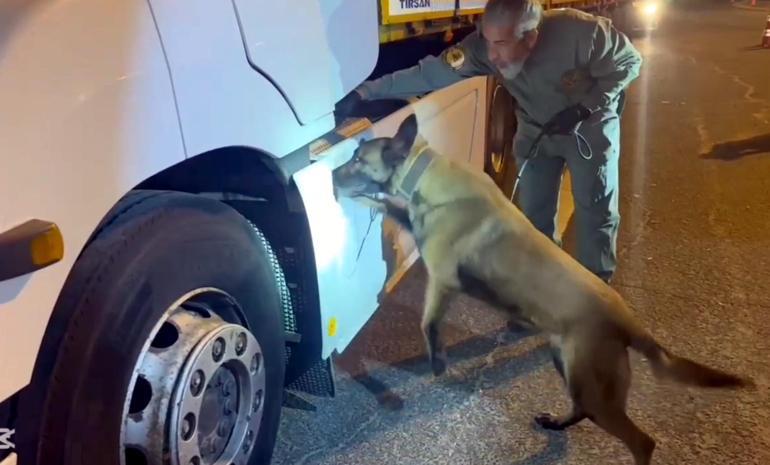 TIRdaki 5,5 kilo uyuşturucuyu Viva buldu