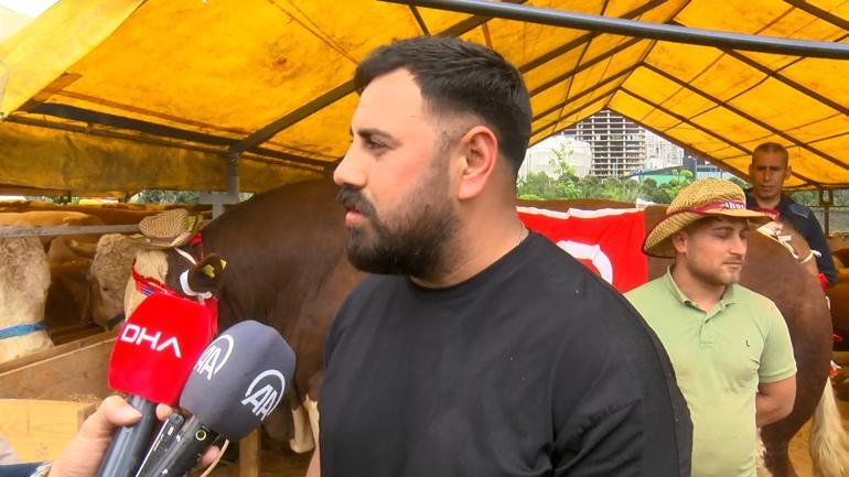 Şampiyon boğa Poyrazın sahibi: Cumhurbaşkanına hediye edeceğim