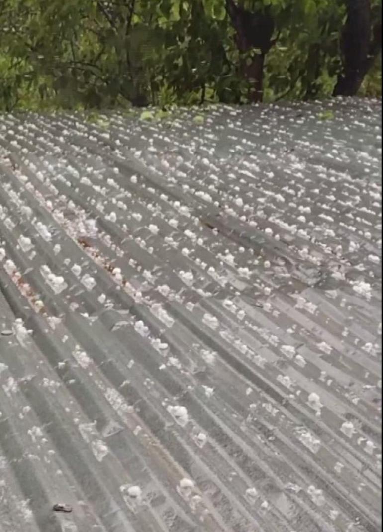 Artvinde dolu; tarım arazileri zarar gördü