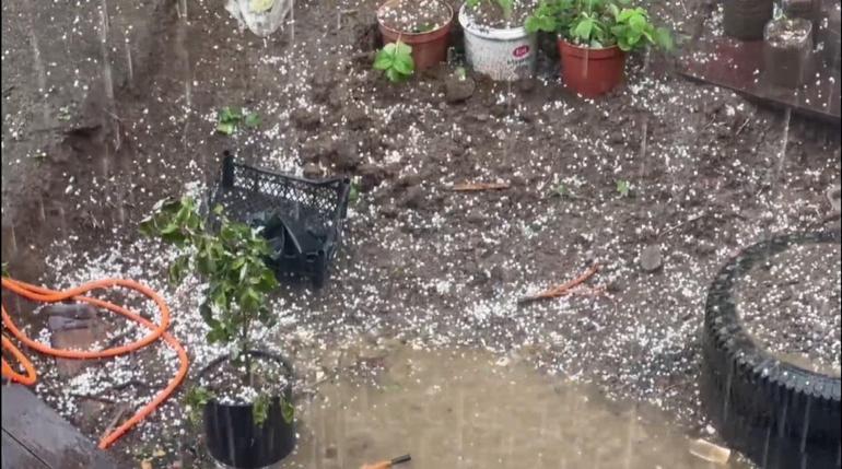 Artvinde dolu; tarım arazileri zarar gördü