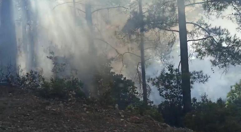 Marmaris’teki orman yangını kontrol altında