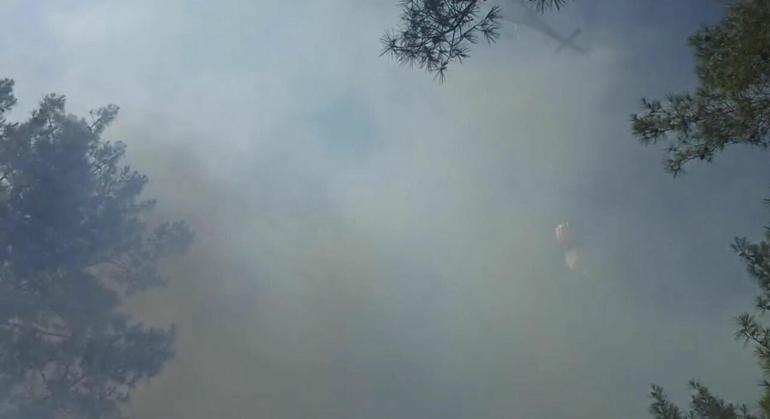 Marmaris’teki orman yangını kontrol altında