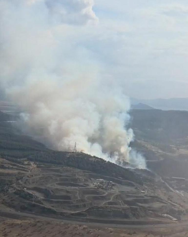 İzmirde çıkan orman yangını söndürüldü
