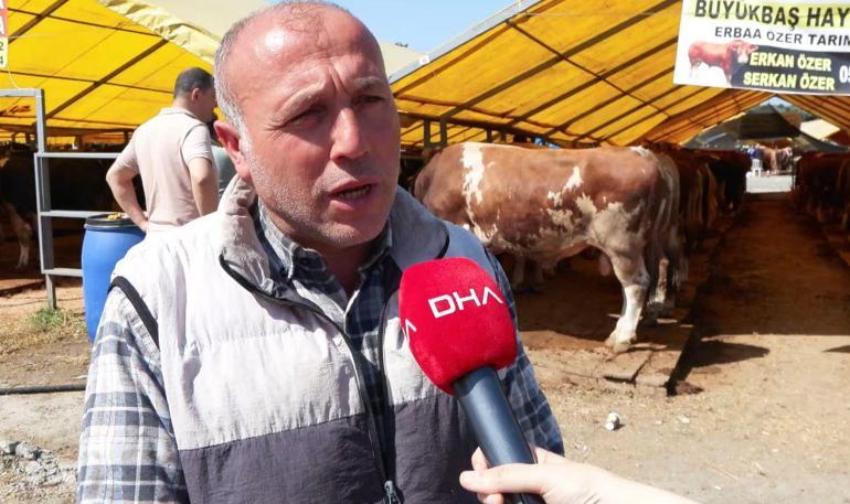 Bayrama sayılı günler kala kurban pazarlarında alıcı fiyata satıcı maliyete bakıyor