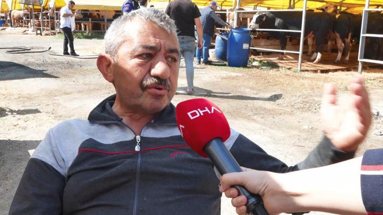 Bayrama sayılı günler kala kurban pazarlarında alıcı fiyata satıcı maliyete bakıyor