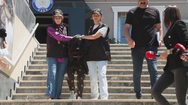 Beşiktaşta arkadaşını öldürüp, Kocaelide polise teslim oldu
