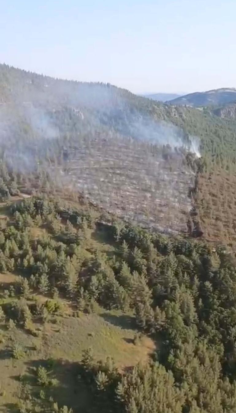 Balıkesirde çıkan orman yangını kontrol altında