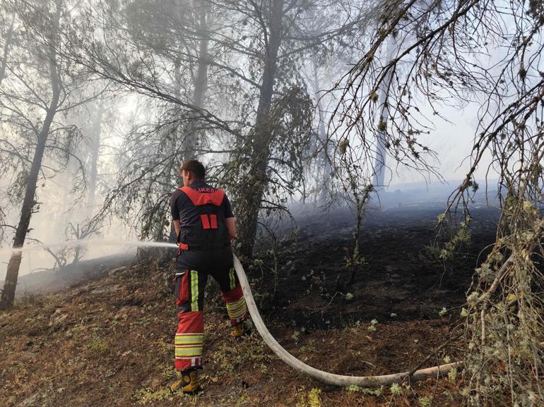 Balıkesirde çıkan orman yangını kontrol altında