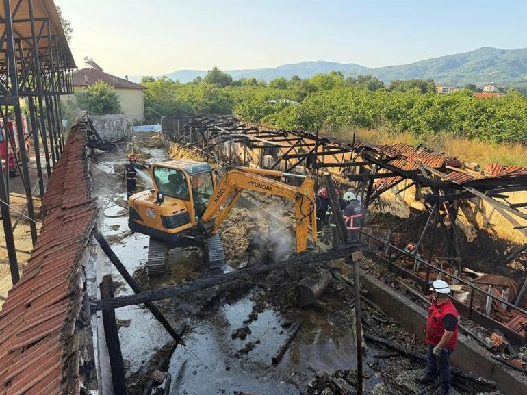 Besi çiftliğinde çıkan yangında 16 büyükbaş öldü