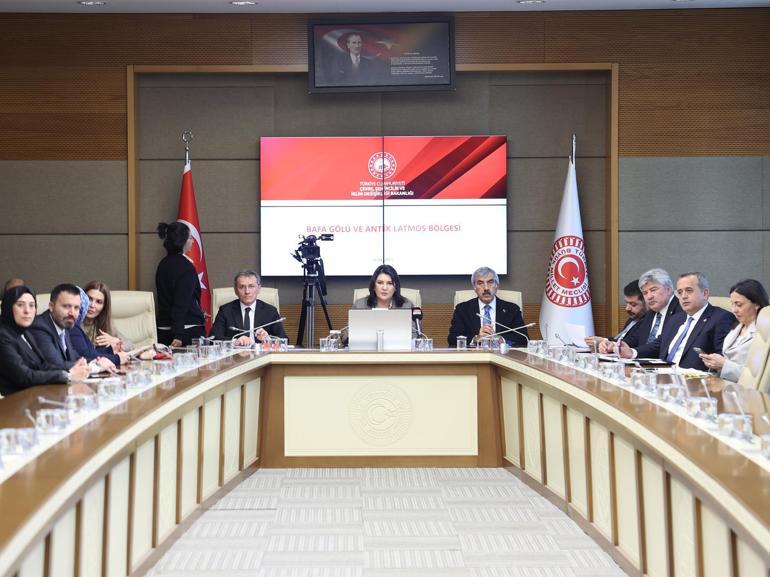 TBMM Dilekçe Komisyonuna ilginç başvurular