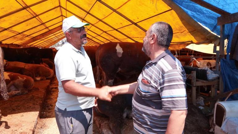 Kurban Bayramına 2 gün kala hayvan pazarlarında hareketlilik devam ediyor