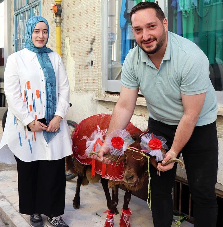 Erzurumlu damattan nişanlısına kurbanlık koç hediyesi