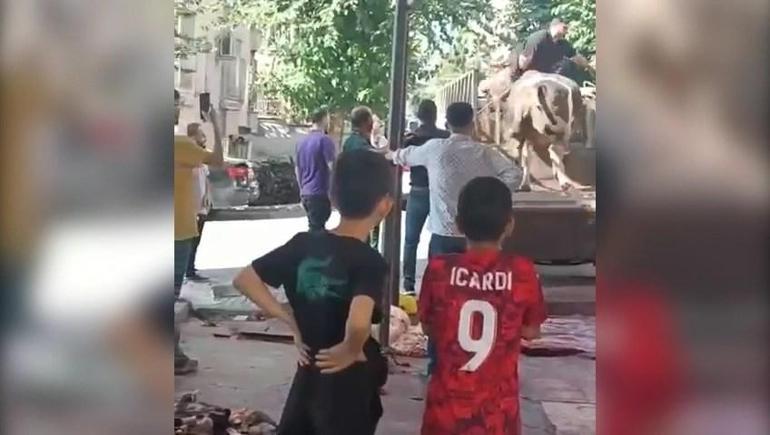 Kurban Bayramının ilk gününde acemi kasaplar hastanelere koştu