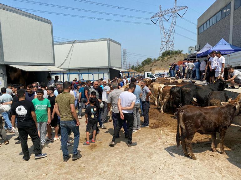 Yurttan Kurban Bayramı Manzaraları