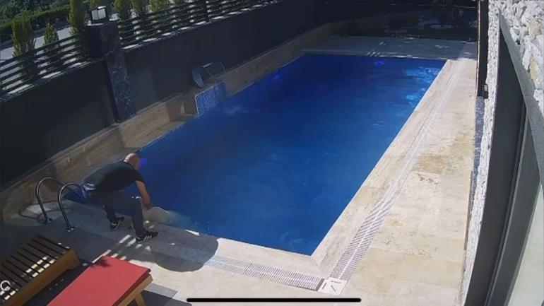 Sahibinden kaçan koçun, bir villanın bahçesindeki havuza girdiği anlar kamerada