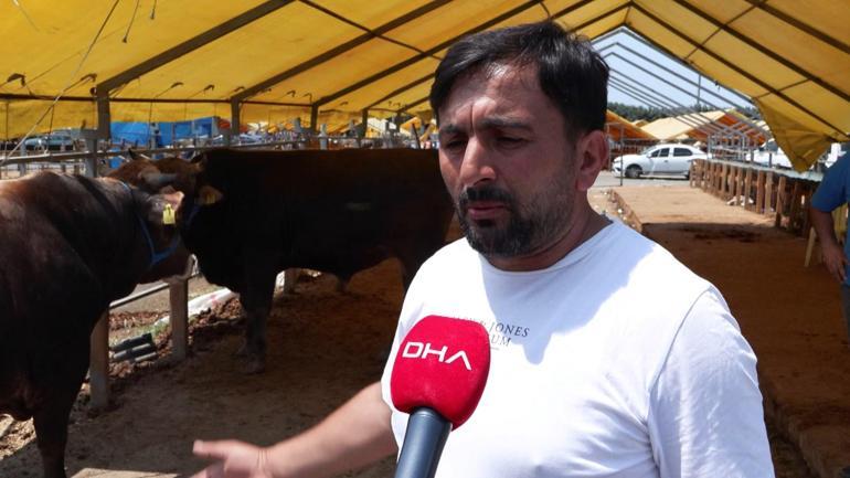 Kurban pazarlarında satıcılar toplanmaya başladı