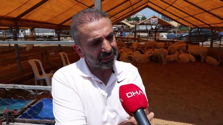 Kurban pazarlarında satıcılar toplanmaya başladı