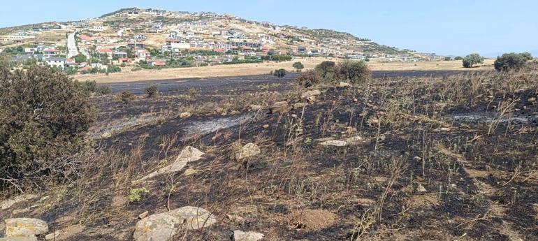 Foçada ot yangını; 4 hektarlık alan zarar gördü