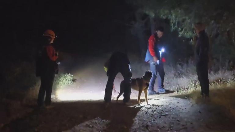 Pendikte ormanda kaybolan kişi için arama çalışması