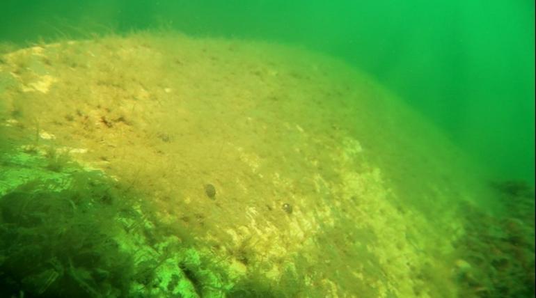 Sapanca Gölüne düşen uçağın enkazı 53 yıl sonra yeniden görüntülendi