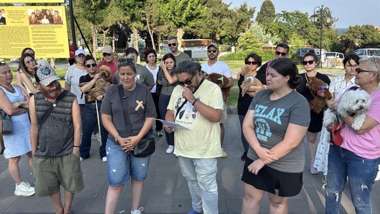 Köpek otelinden kaçan Tarçın, çevre yolunda ölü bulundu