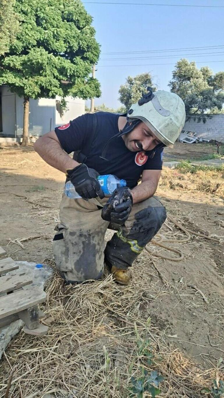 İzmirde yangın; minik Muhammet’in durumu ağır, mahsur kalan kedi kurtarıldı